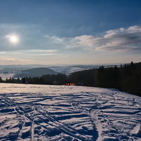Panorama Janovicky 3*