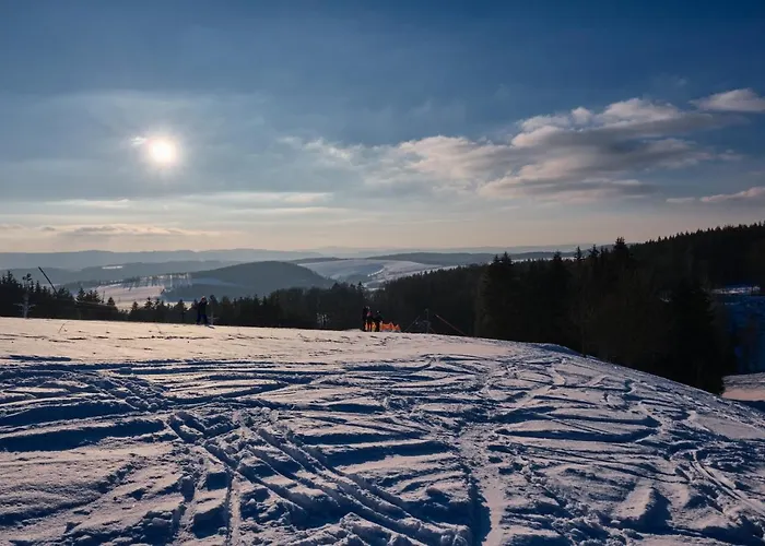 Panorama Janovicky 3*